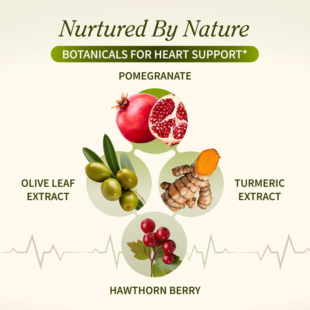 Beetroot powder from Snap Supplements highlighting nitric oxide support.
