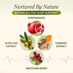 Beetroot powder from Snap Supplements highlighting nitric oxide support.