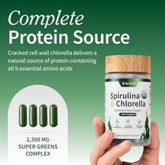 Snap Supplements green superfood powder close up highlights protein rich spirulina and chlorella