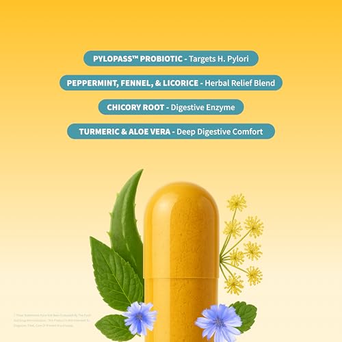 Snap Supplements lipase probiotic pylopass capsules ready for daily digestive care