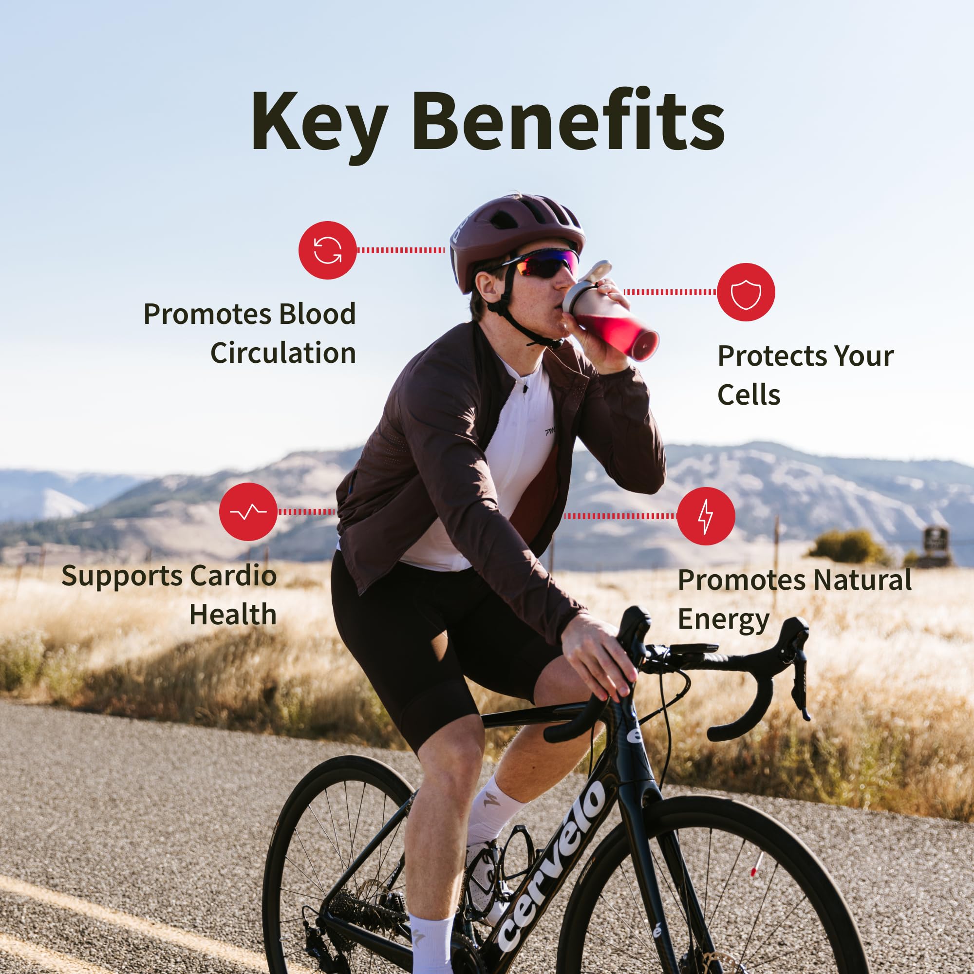 Snap Supplements pomegranate accents the antioxidant blend