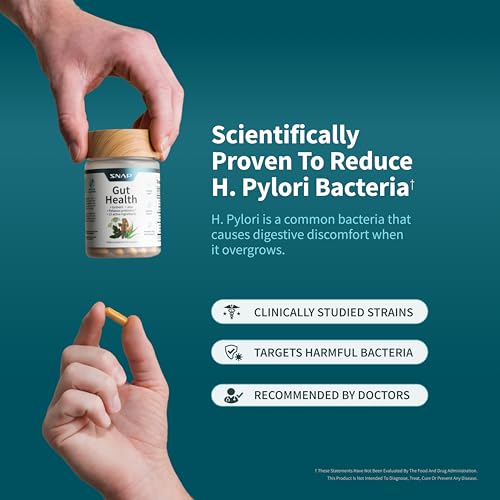 Snap Supplements chicory inulin prebiotic illustration highlighting gut-friendly nourishment