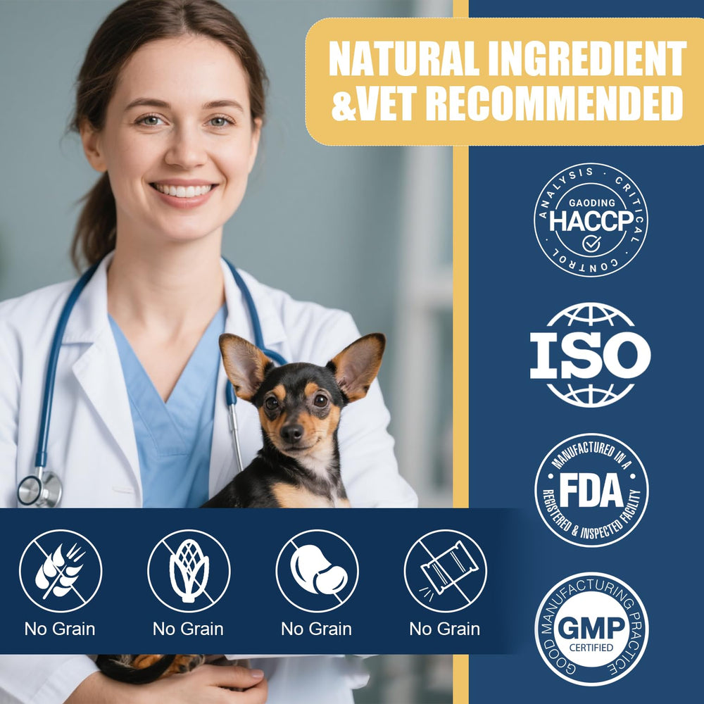 SnazFirst Calming Chews close-up texture emphasizes natural ingredients for calmer behavior