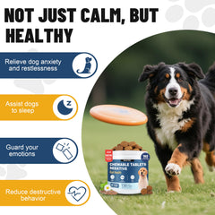 SnazFirst calming chews dog treats collection ready for daily stress support