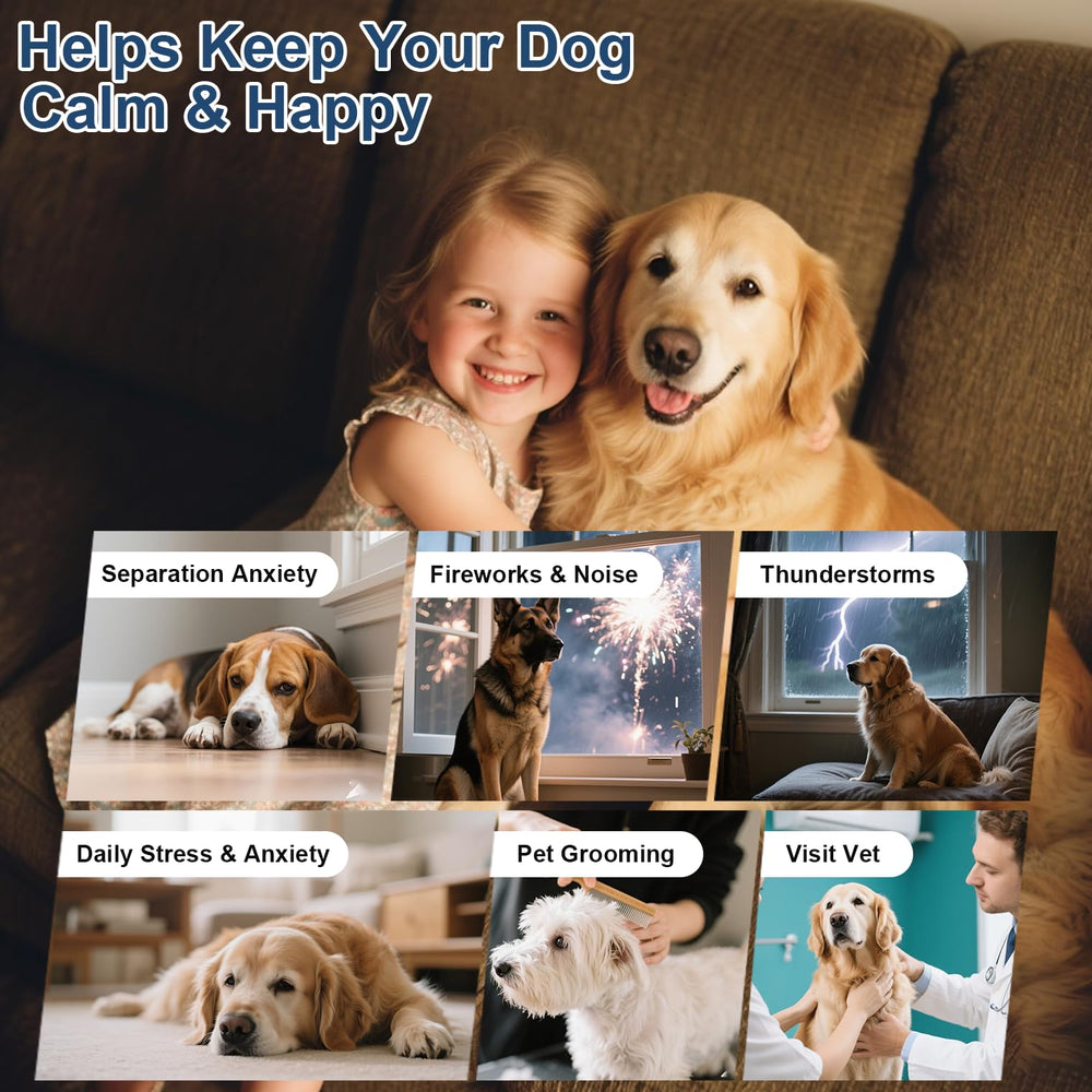 SnazFirst Melatonin Bites image highlights fast-acting anxiety relief for dogs
