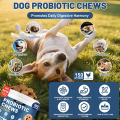 SnazFirst Probiotics for Dogs chews close-up highlighting flavor and palatability