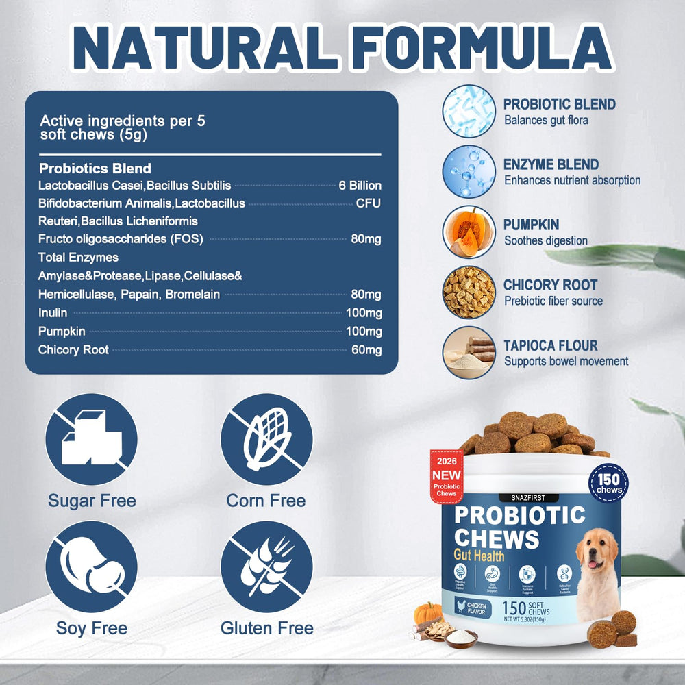 Happy dog enjoys SnazFirst Probiotics chew for digestive comfort
