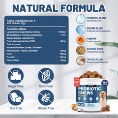 Happy dog enjoys SnazFirst Probiotics chew for digestive comfort