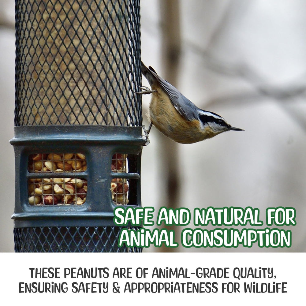 Sneaky Mango energy and protein peanuts support wildlife activity.
