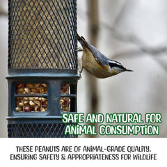 Sneaky Mango energy and protein peanuts support wildlife activity.