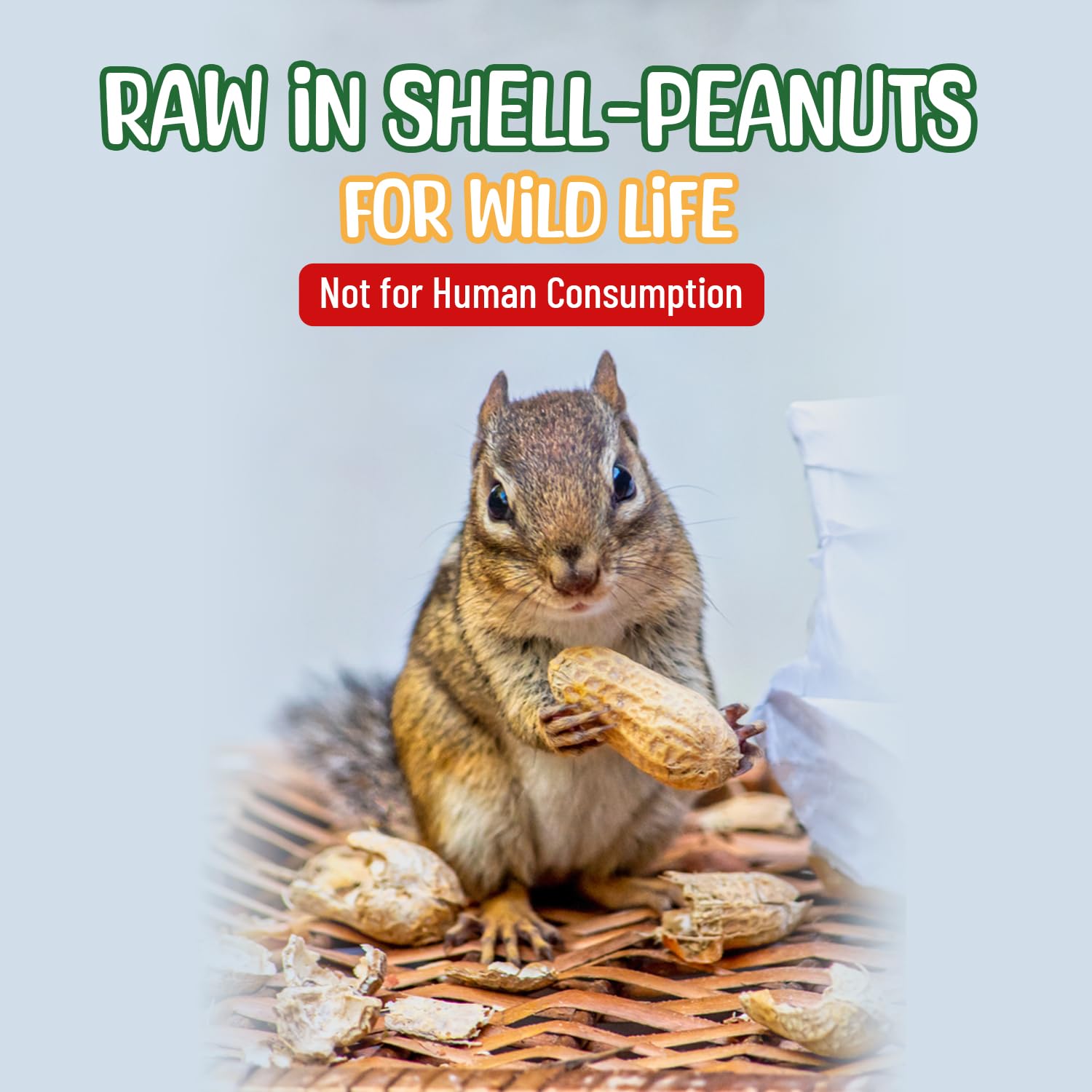 Sneaky Mango raw peanuts for squirrels and birds in outdoor feeding.