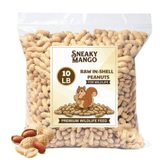 Sneaky Mango raw peanuts in shell bulk bag attracting wildlife at feeder