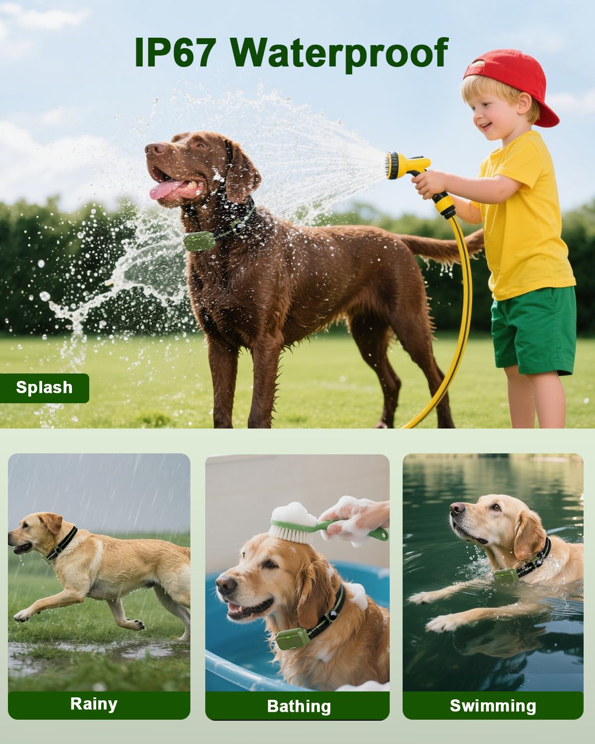 Snsng adjustable collar fits dogs 15–110 lb with two probe sizes.