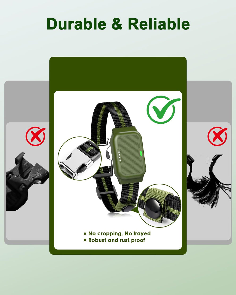Snsng dual-channel feature lets you train two dogs with independent or combined commands.