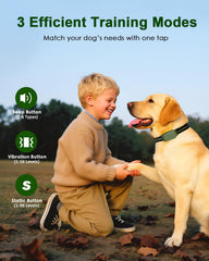 Snsng shock collar IP67 waterproof receiver withstands rain and splashes during outdoor training.