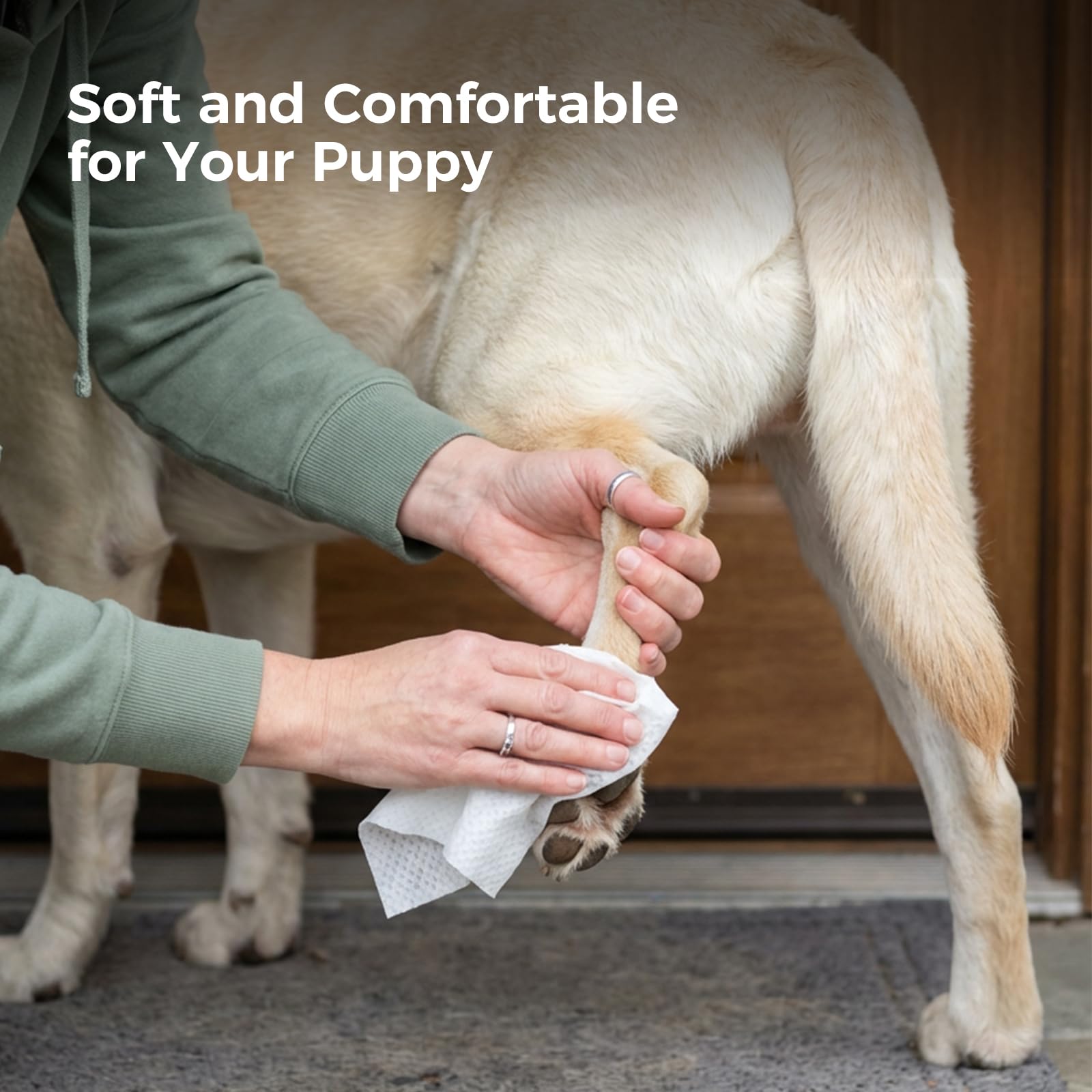 Snuvid dog wipes used on paws and face for a refreshing wipe