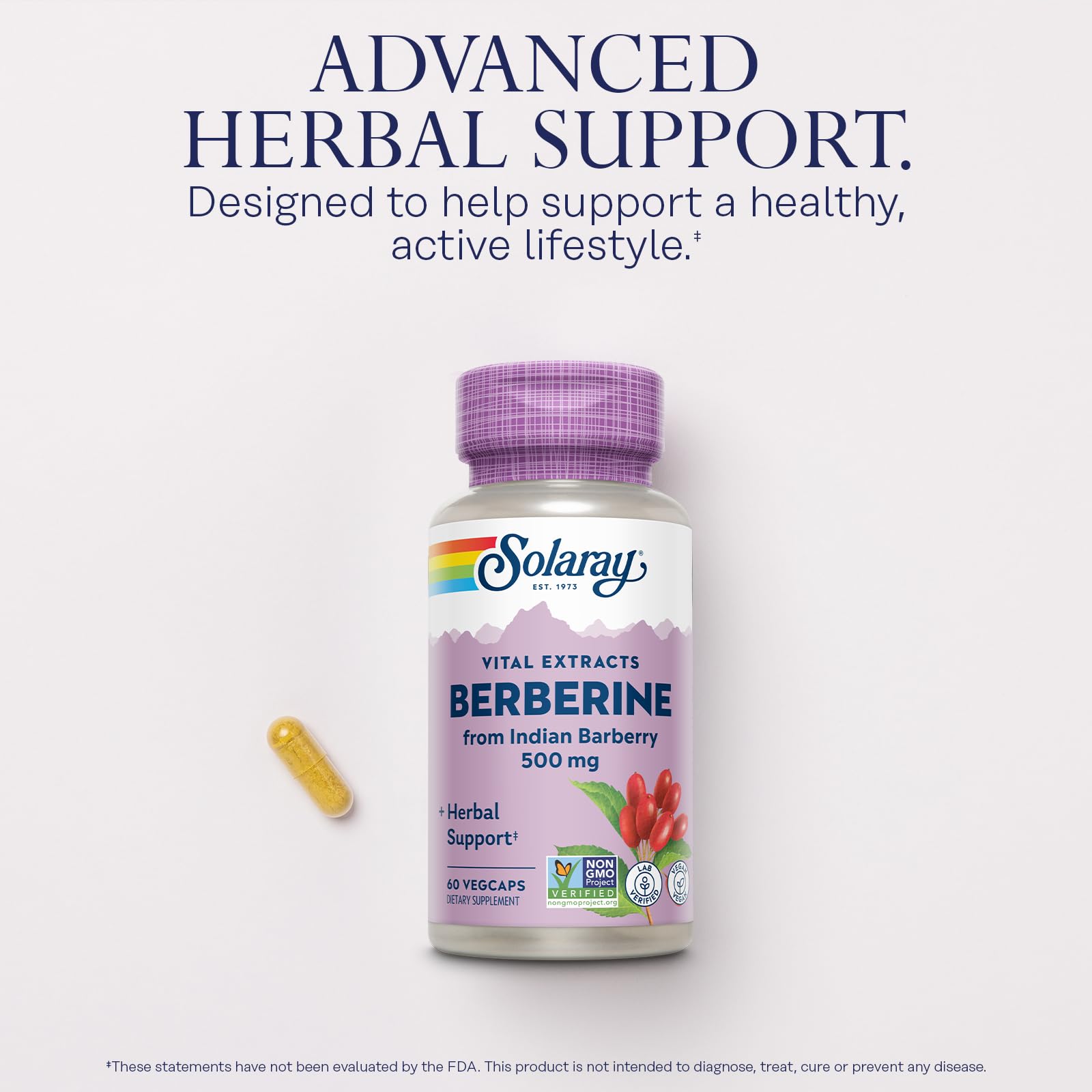 SOLARAY Berberine 500mg ingredient panel lists Berberine HCl and Oregon Grape.