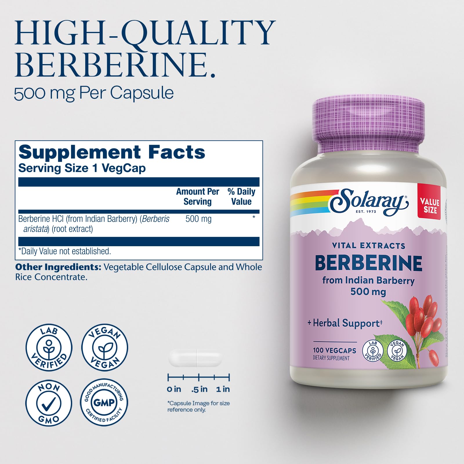 SOLARAY Berberine capsules close-up shows uniform VegCaps for easy daily use.
