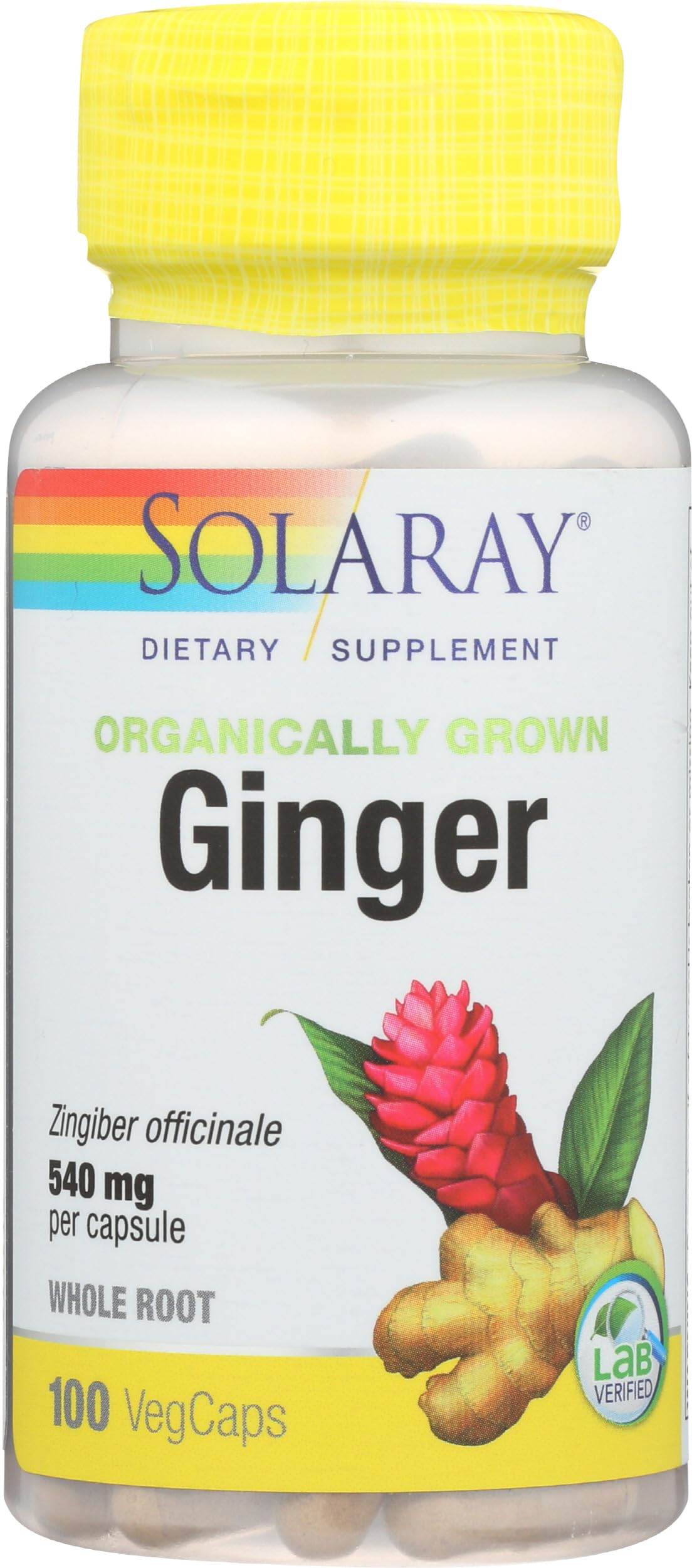 SOLARAY ginger capsules being poured for easy daily dosing