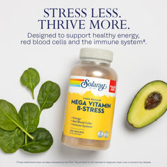 SOLARAY Mega Vitamin B-Stress capsules close-up highlighting timed-release design.
