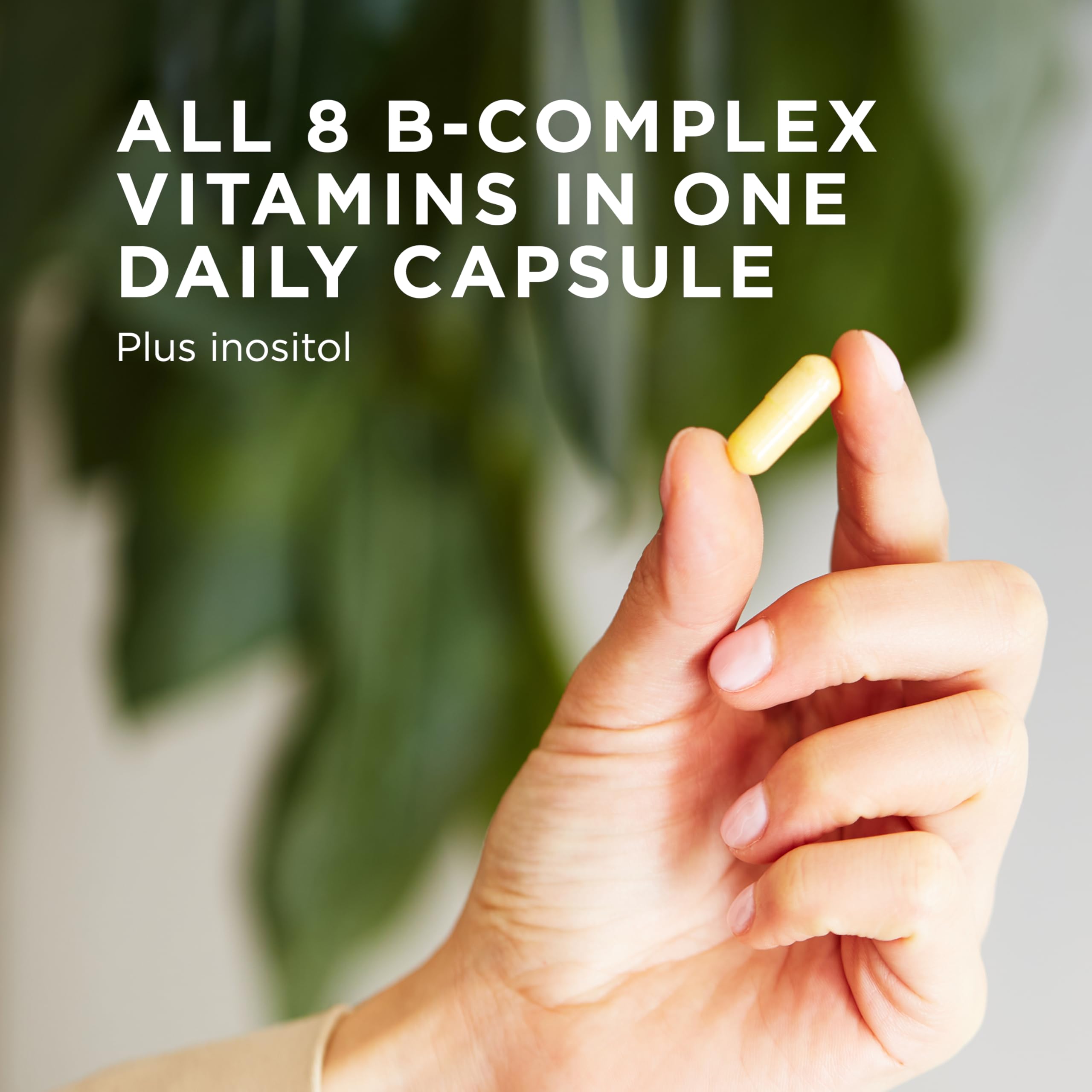 Solgar B-Complex 100 label details highlighting B vitamins.