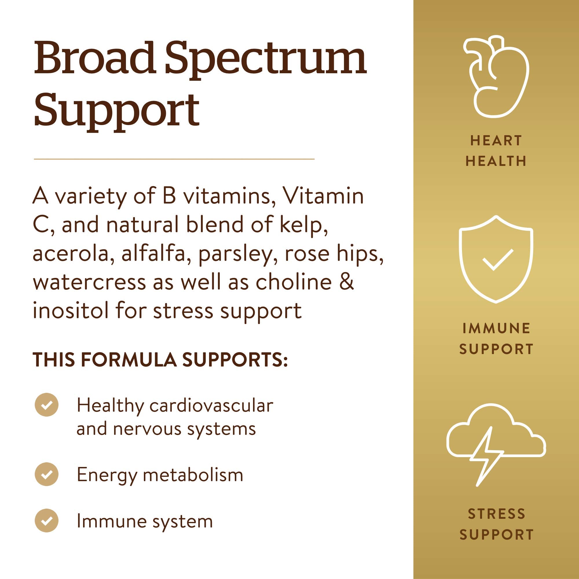 Solgar B-Complex with Vitamin C Stress Formula packaging front highlighting vegetarian formula.