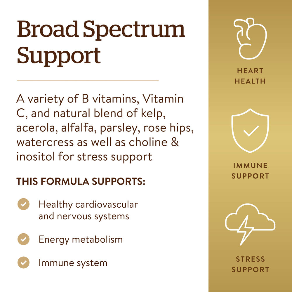 Solgar B-Complex with Vitamin C Stress Formula packaging front highlighting vegetarian formula.