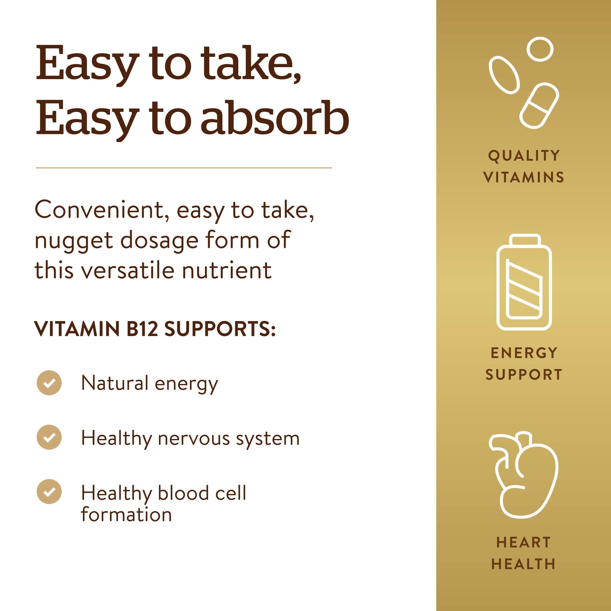 Solgar B12 100-count bottle emphasizes long-term daily use and convenience