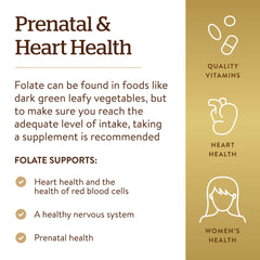 Solgar Folate nutrition panel with daily intake guidance