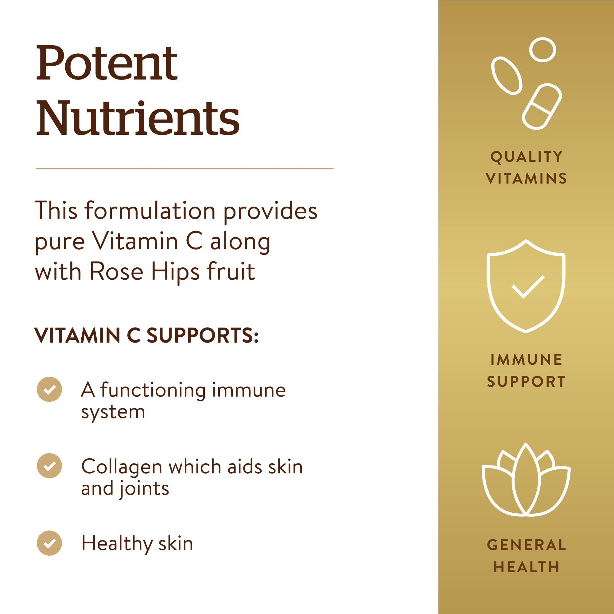Solgar Vitamin C 1000 mg with Rose Hips cutaway visuals highlight rose hips