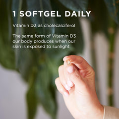 Solgar Vitamin D3 softgels capsules closeup with oil-based softgel design for absorption