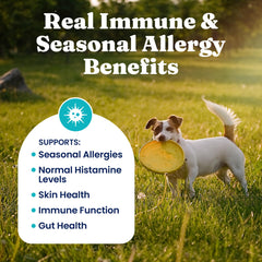 Solid Gold alaskan salmon oil bottle visual emphasizing omega-3 for skin health
