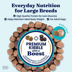 Solid Gold Bison dry dog food ingredients close-up with brown rice and sweet potato