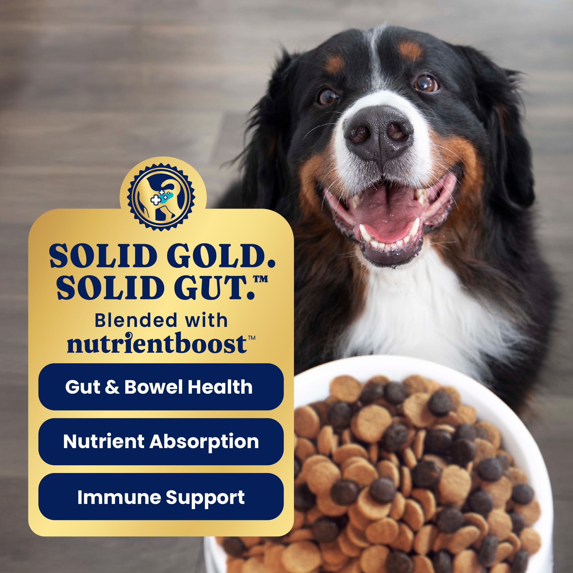 Omega 3 from salmon oil in Solid Gold Bison formula for coat health