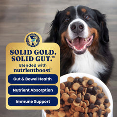 Omega 3 from salmon oil in Solid Gold Bison formula for coat health