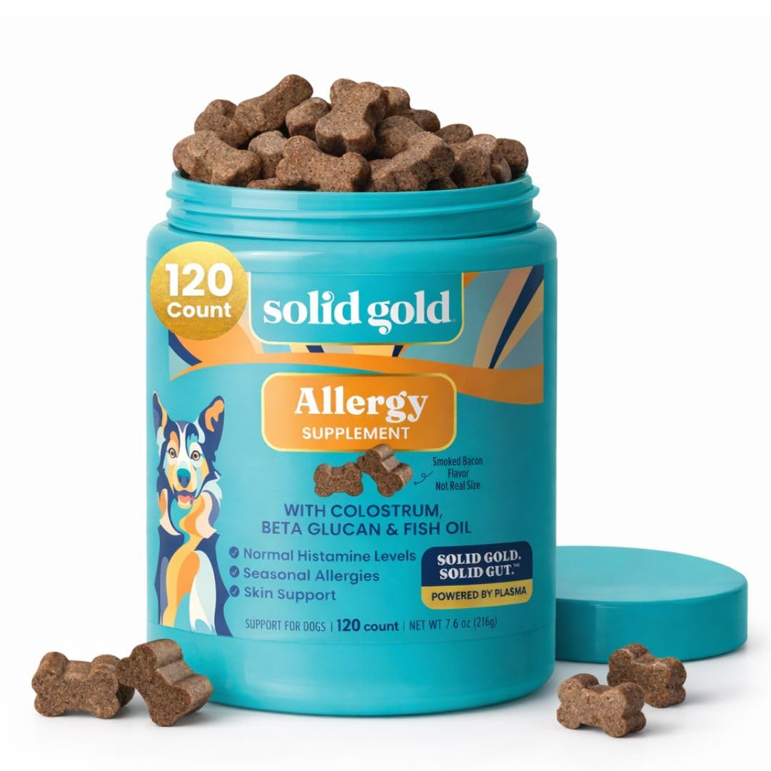 Solid Gold dog allergy relief chews bacon flavor front view highlighting potential itch relief