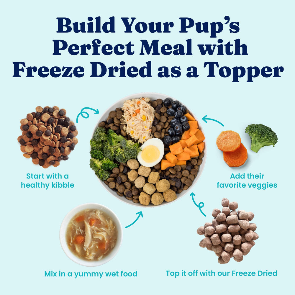 Solid Gold holistic ingredients no fillers emphasized in the recipe.