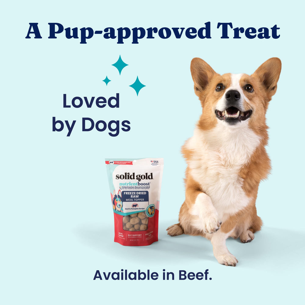 Solid Gold small and large breed meals served with freeze dried bits.