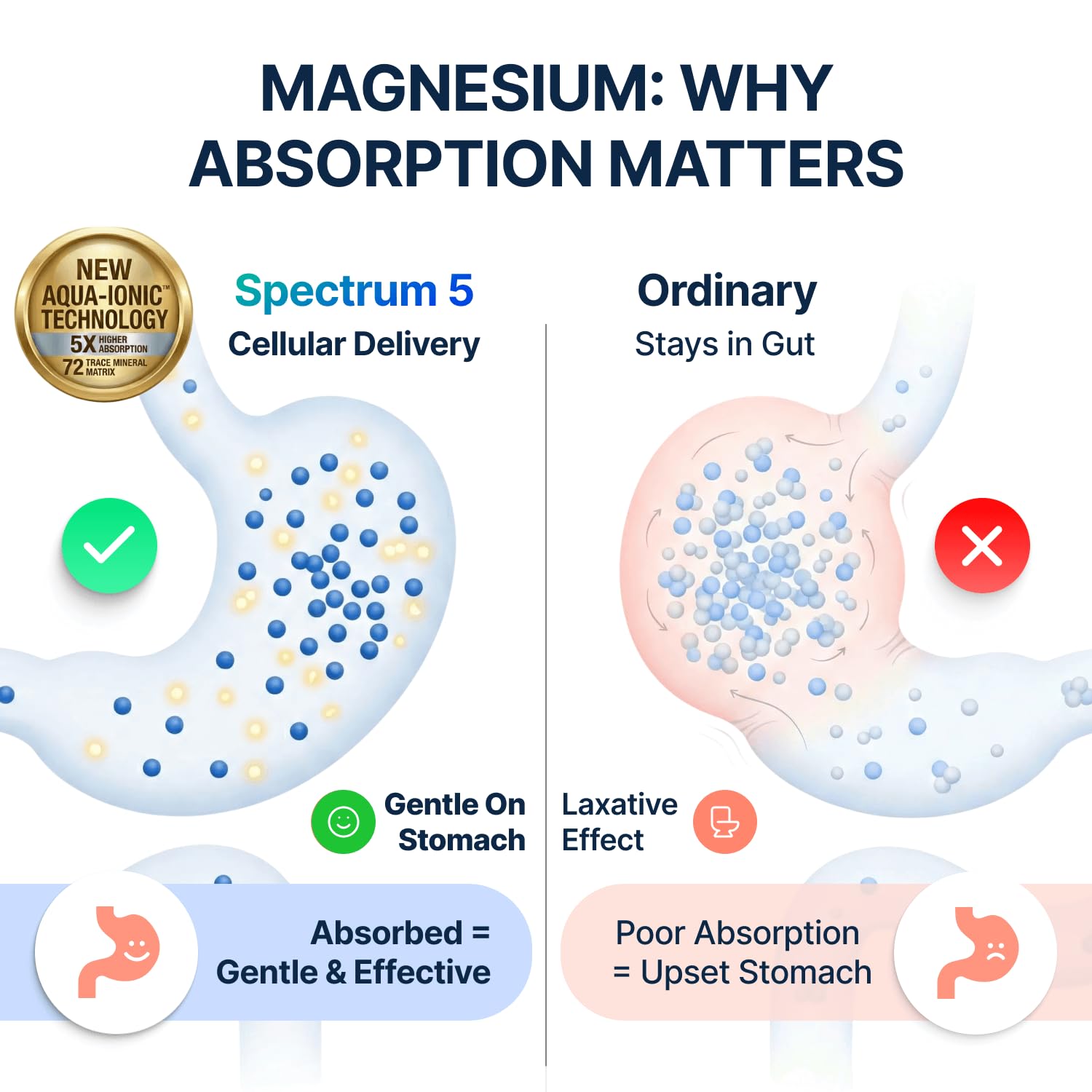 Info card outlines balanced mineral blend for calm support