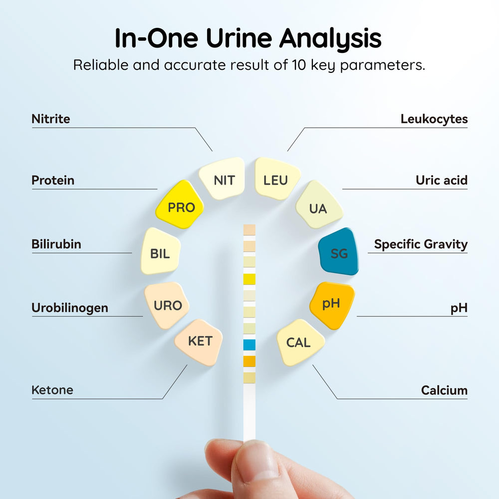 Sonrasi urinalysis full-panel strips for quick home readings with a color chart.