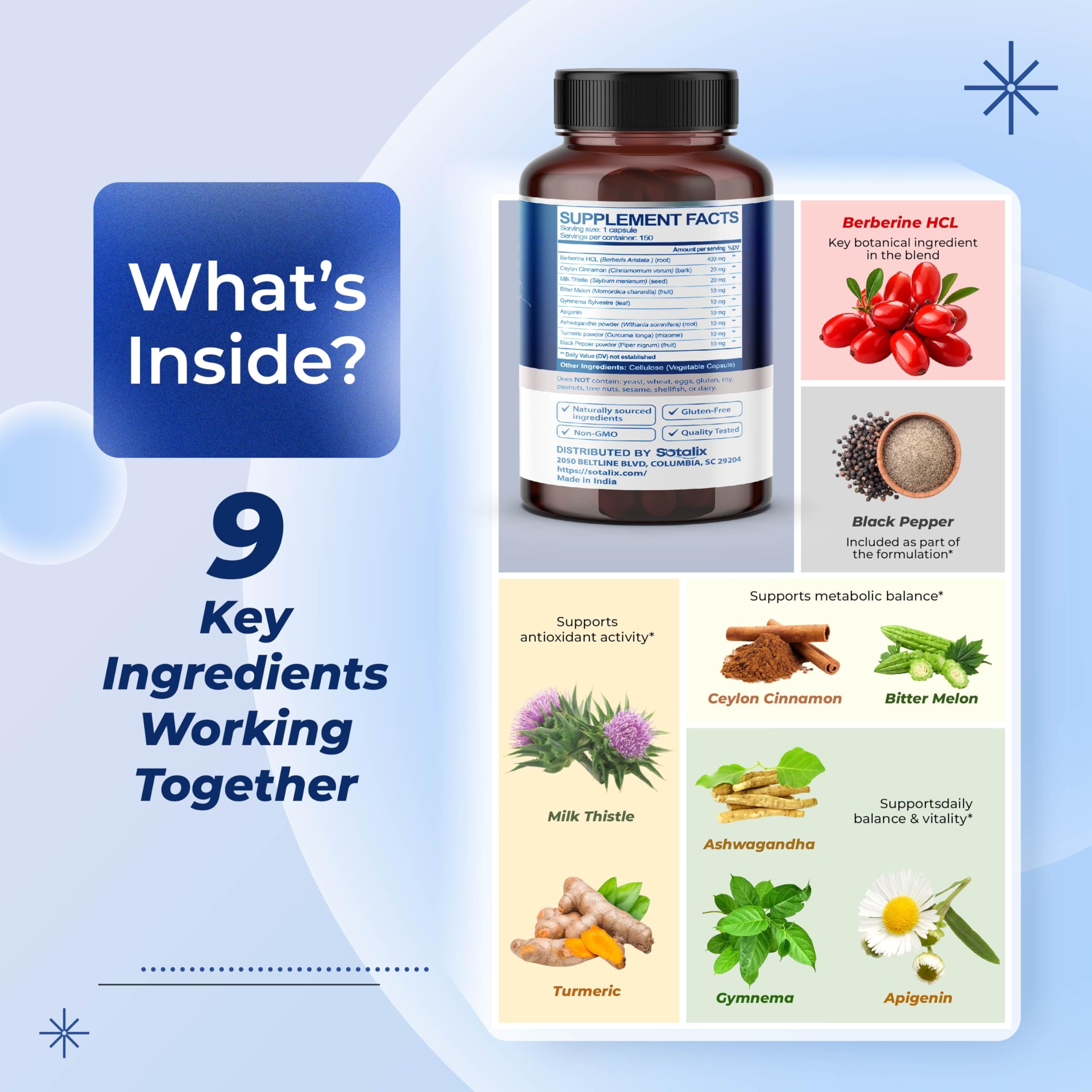 Sotalix Milk Thistle and Berberine blend for holistic plant-based support.