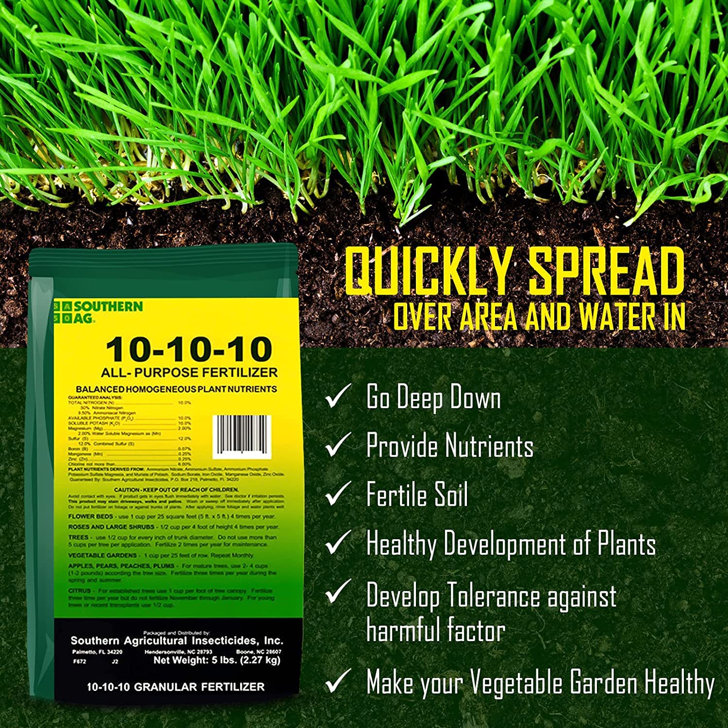Healthy lawn growth after using Southern Ag 10-10-10 granular fertilizer.