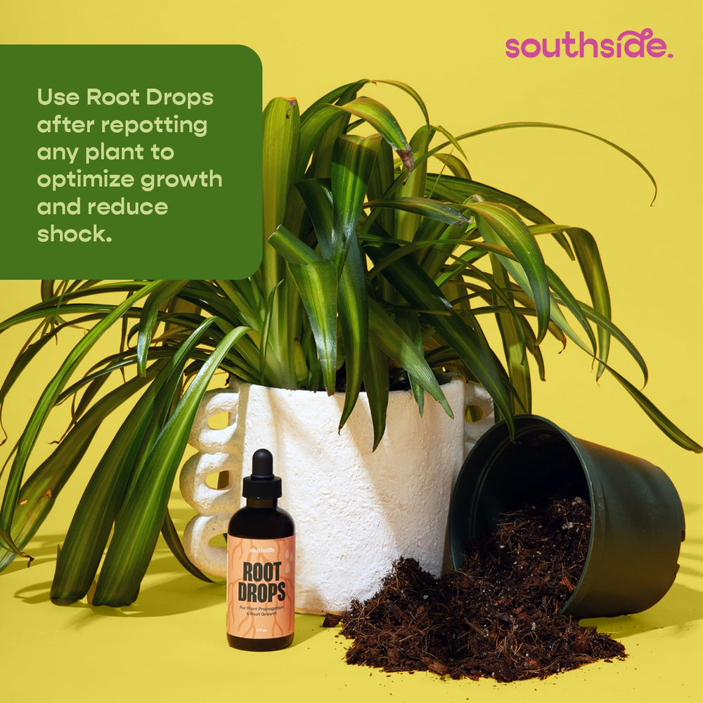 Southside Plants Root Drops compatible with leca moss substrates for flexible propagation