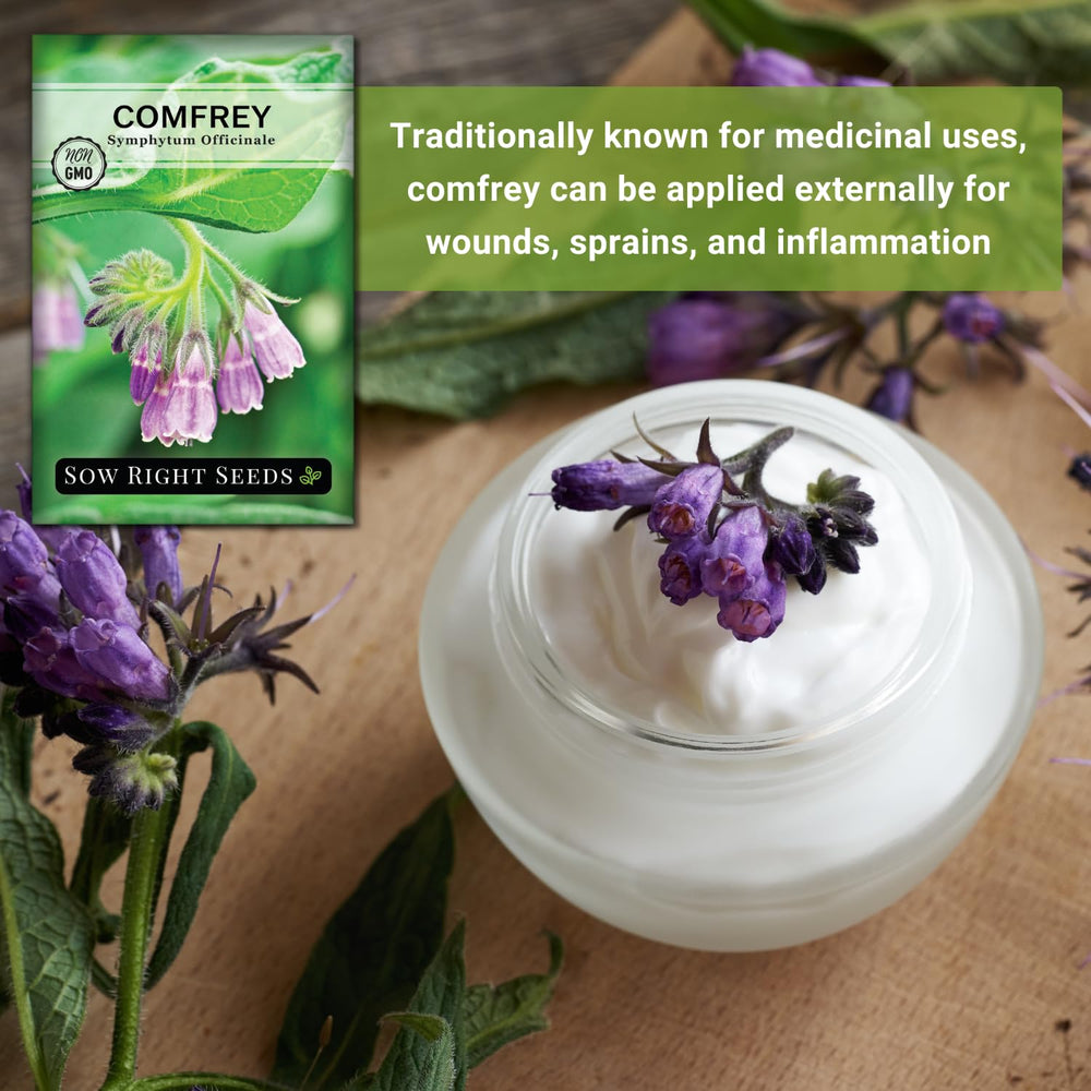 Sow Right Seeds drought-tolerant comfrey thrives with minimal watering.