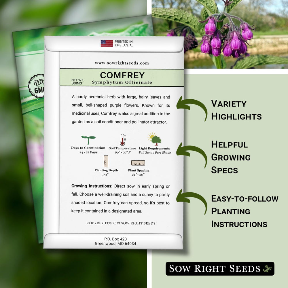 Sow Right Seeds comfrey leaves show large, lush foliage for harvest.