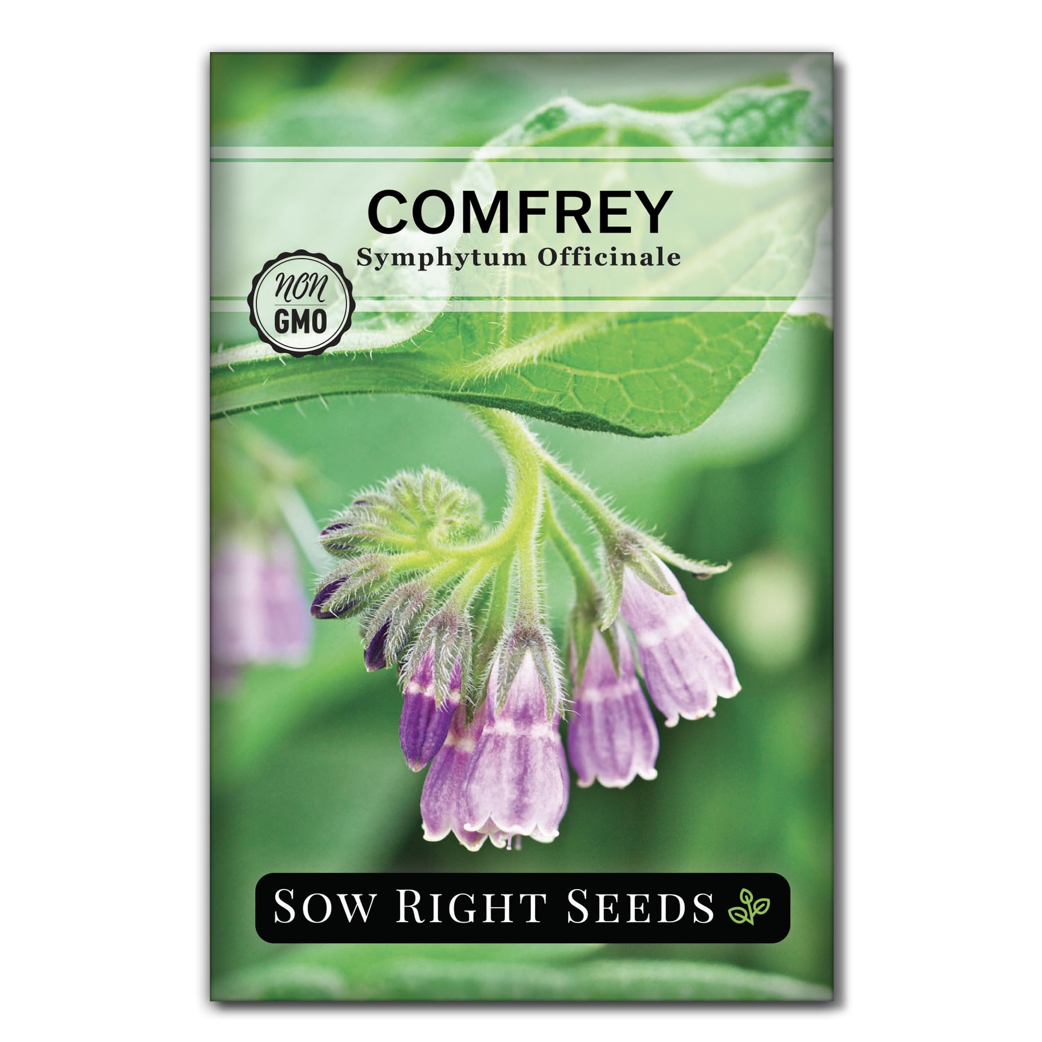 Sow Right Seeds comfrey seed packet ready for home planting.