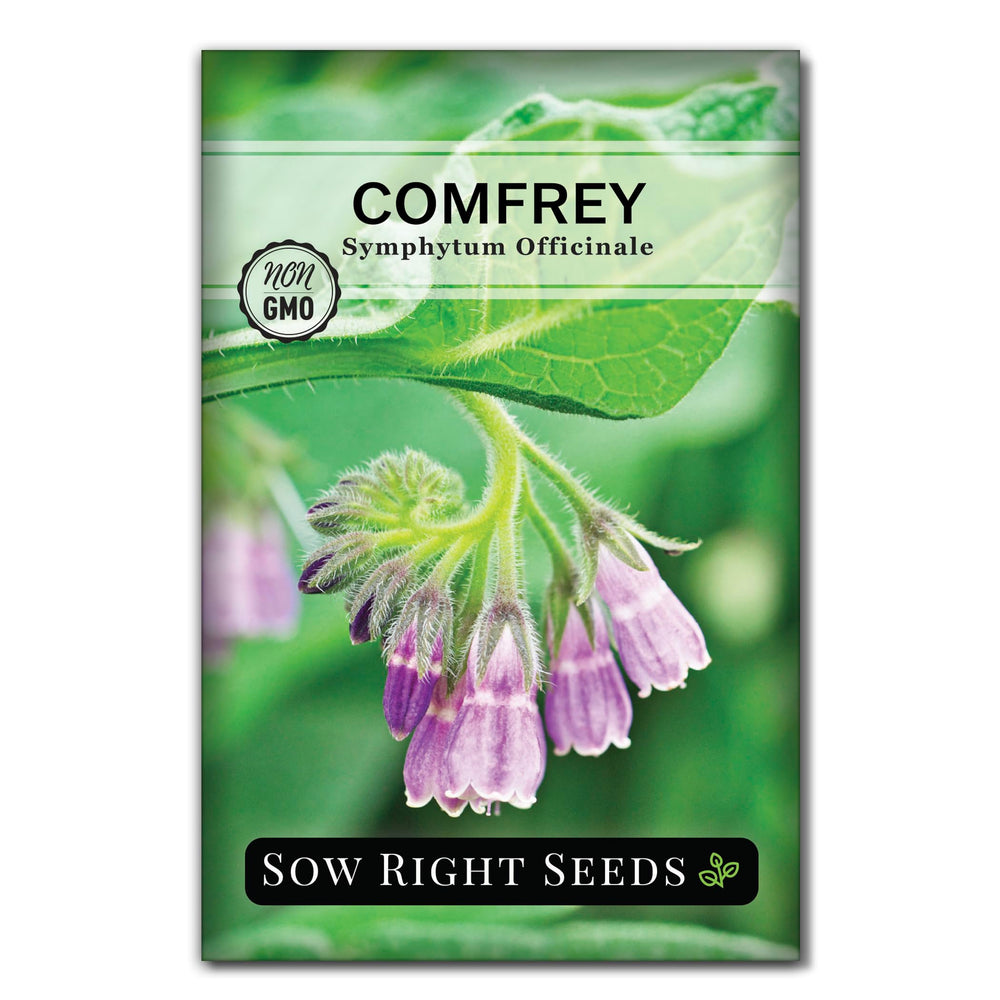 Sow Right Seeds comfrey seed packet ready for home planting.