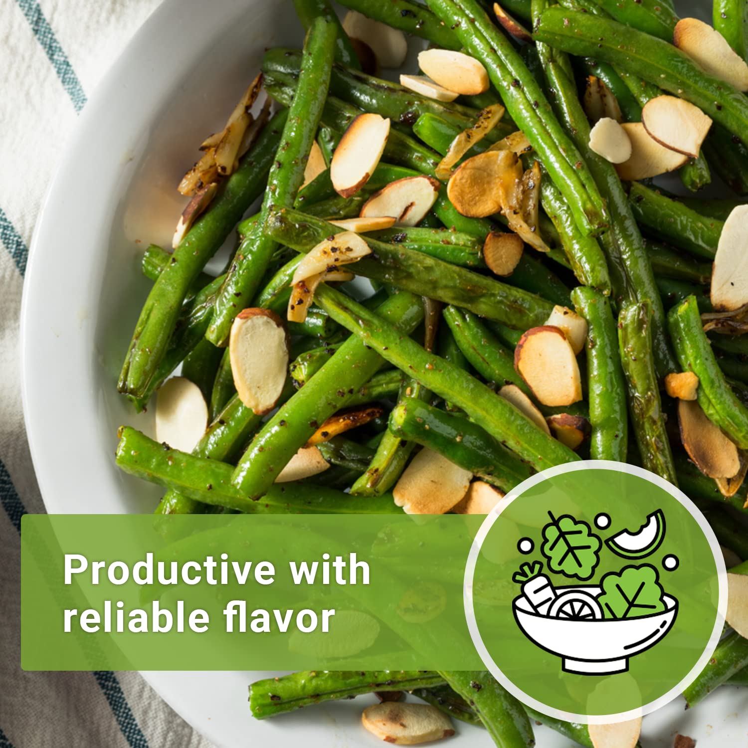 Harvest-ready Contender beans after 60–75 days in warm sun.
