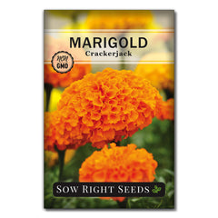 Sow Right Seeds Crackerjack African Marigold seeds packet ready for planting.