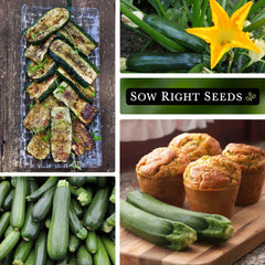 Sow Right Seeds garden-ready zucchini harvest image for fresh meals